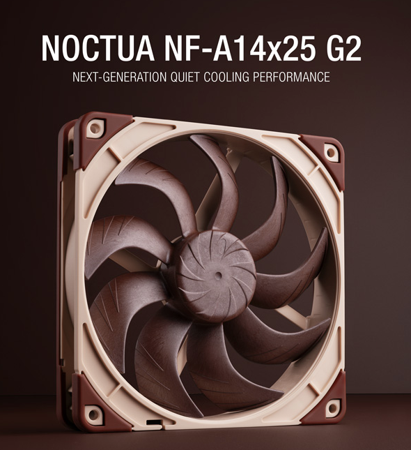 590x645