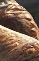 720x1105