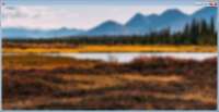 1272x658