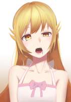 1600x2262
