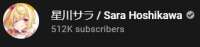 333x79