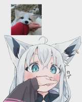 2067x2560