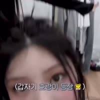 720x720