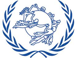 300x225