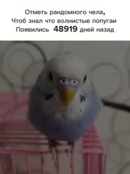 576x768