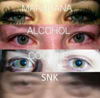 460x451