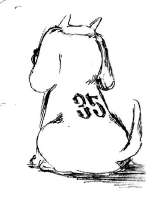 426x537