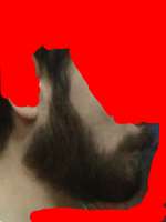 1080x1440
