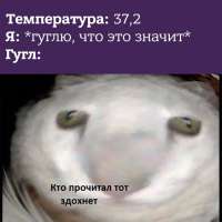 900x900