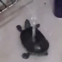360x360
