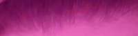1000x261