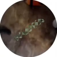 360x360