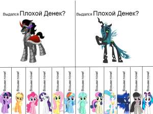 567x425