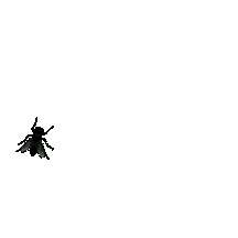 216x216