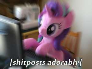 500x375