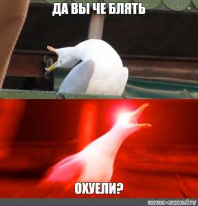 500x520