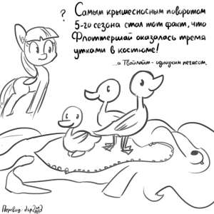 726x726