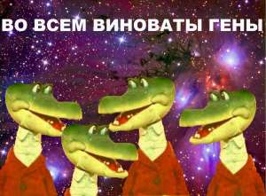 1200x886