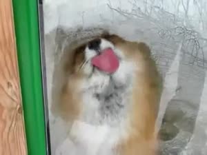 320x240