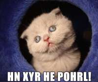 84