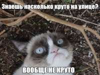 94