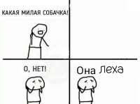 603x452