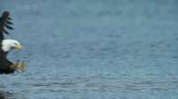 307x173