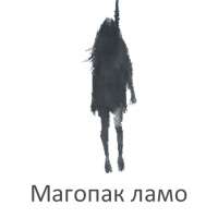 512x512