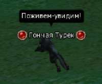 283x233