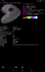 1200x1920