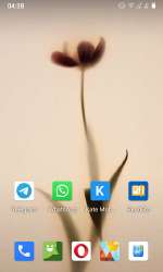 480x800