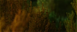 1280x536
