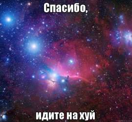 600x554
