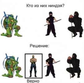 500x499