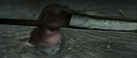 1008x432