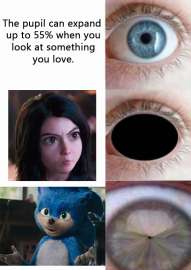 540x762