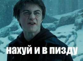 500x368