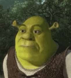 452x498