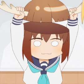 736x736