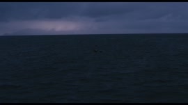1920x1080