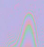 192x206