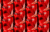 800x522