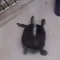 360x360