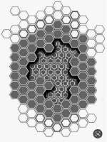 507x675