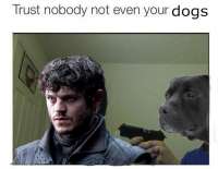 513x399
