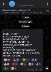 720x1005