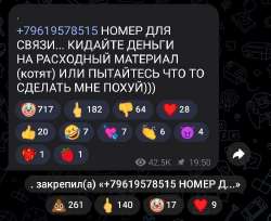 720x590
