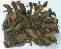 400x325