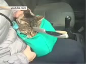 5039