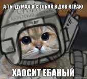 58